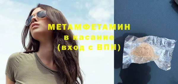 индика Нея