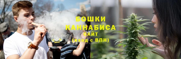 сатива Наволоки