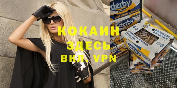 индика Нея