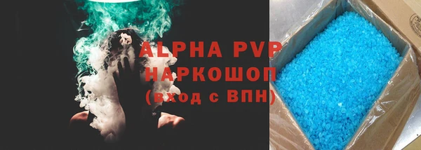 индика Нея