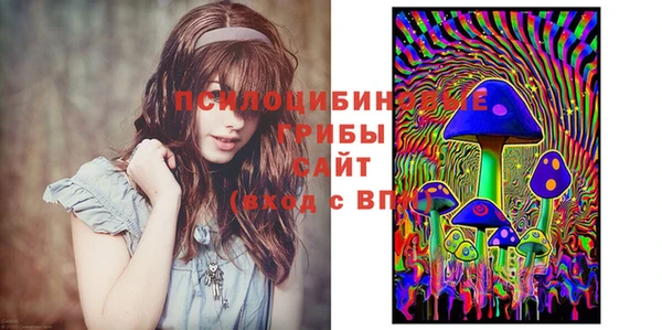 сатива Наволоки