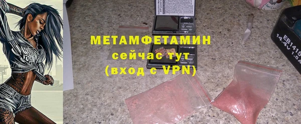 индика Нея