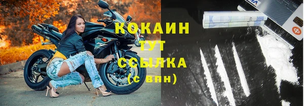 сатива Наволоки