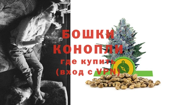 сатива Наволоки