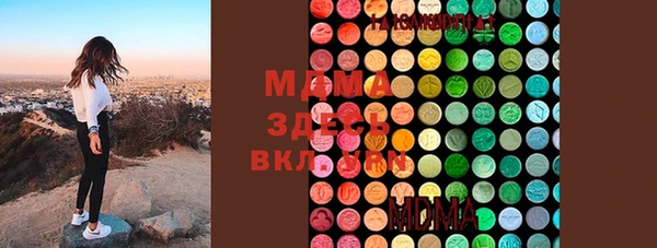 индика Нея