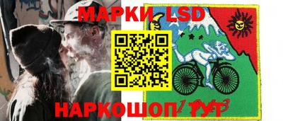 мяу мяу мука Аргун