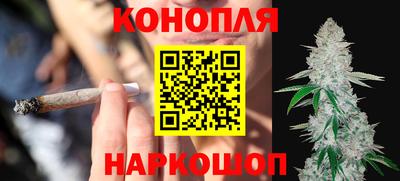 мяу мяу мука Аргун